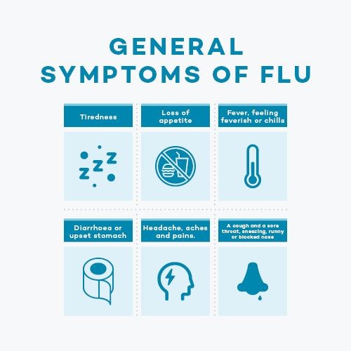 Flu facts
